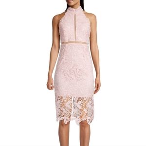 Bardot Willow Floral Lace Cocktail Dress BBy Pink Women's 6